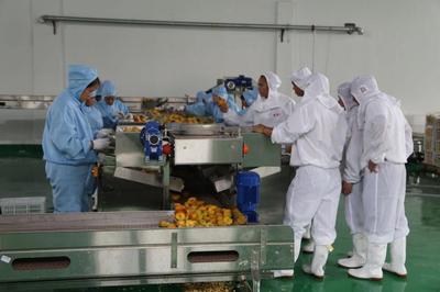 三都:推进农产品深加工 助力脱贫攻坚