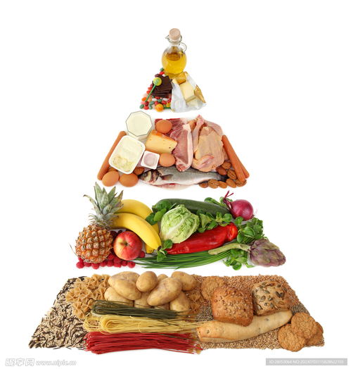 食物金字塔设计图