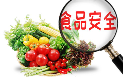 今日高考热点 食品质量与安全专业是什么专业 开设院校有哪些