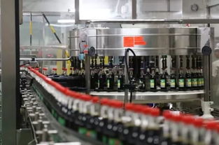 湖南知名打酱油的公司被怒斥 但47亿蛇吞象背后,暗藏更大危机