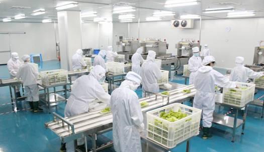盘点中央厨房经营辛酸苦辣 当今社会餐饮应如何立足于餐饮行业?
