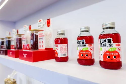 安琪亮相第十九届粮油食品产业博览会