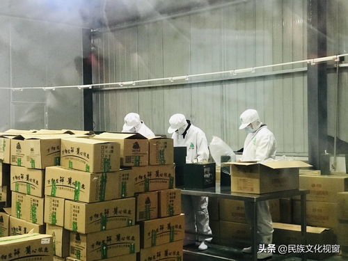 龙头带动 万民致富 万物生食品厂隆重开业