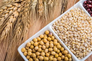 重磅 中共中央 国务院关于深化改革加强食品安全工作的意见 全文