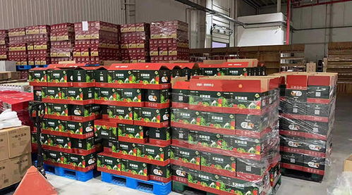 天津食品集团前线指挥部进驻津南更精准做好百姓生活物资保障